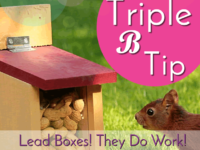 Lead Boxes! They Do Work!